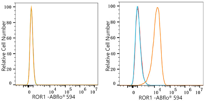 ABflo® 594 Rabbit anti-Human ROR1 mAb