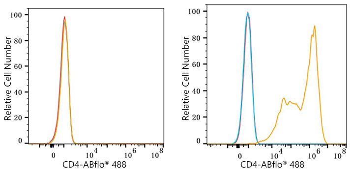 ABflo® 488 Rabbit anti-Mouse CD4 mAb