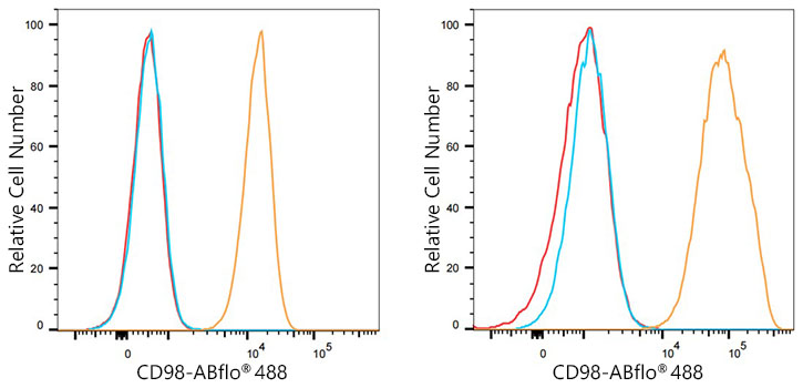 ABflo® 488 Rabbit anti-Human CD98 mAb