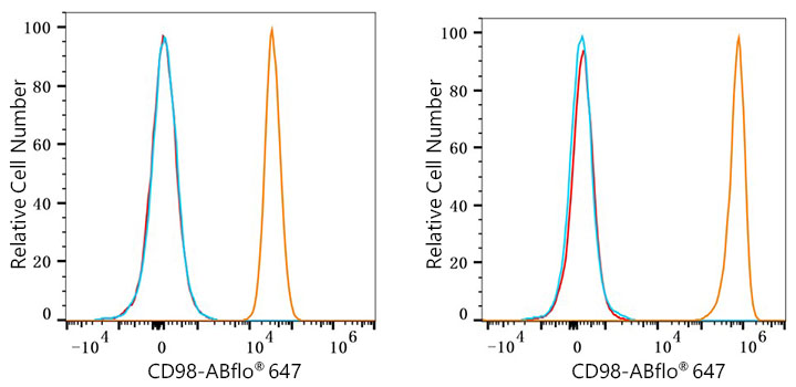 ABflo® 647 Rabbit anti-Human CD98 mAb