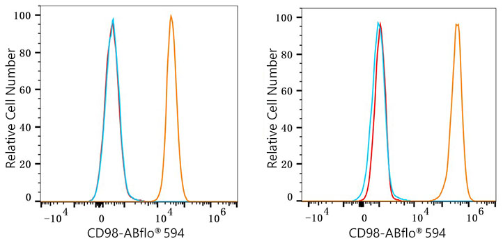 ABflo® 594 Rabbit anti-Human CD98 mAb