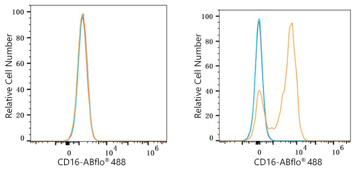 ABflo® 488 Rabbit anti-Mouse CD16 mAb