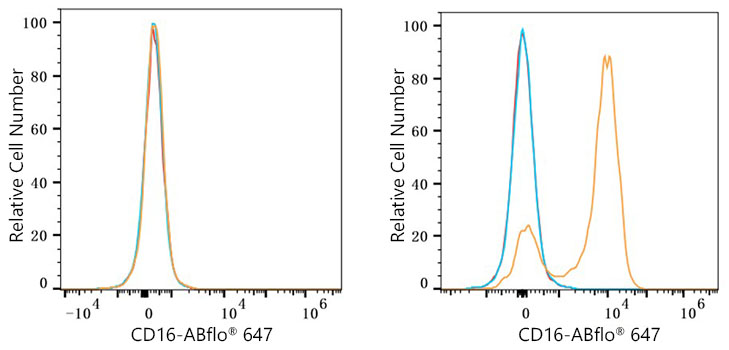 ABflo® 647 Rabbit anti-Mouse CD16 mAb