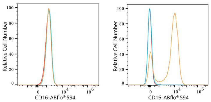 ABflo® 594 Rabbit anti-Mouse CD16 mAb