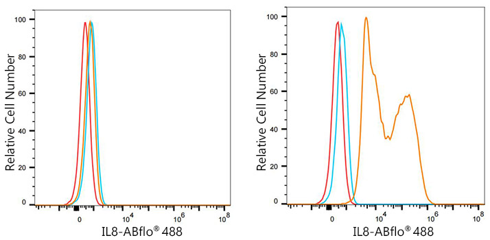 ABflo® 488 Rabbit anti-Human IL8 mAb