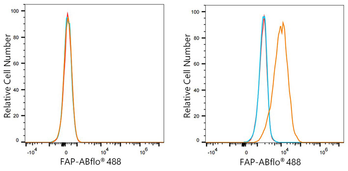 ABflo® 488 Rabbit anti-Human FAP mAb