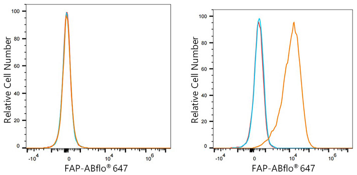 ABflo® 647 Rabbit anti-Human FAP mAb