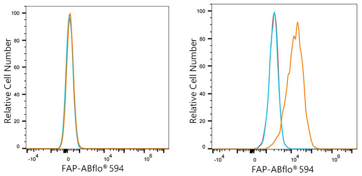 ABflo® 594 Rabbit anti-Human FAP mAb