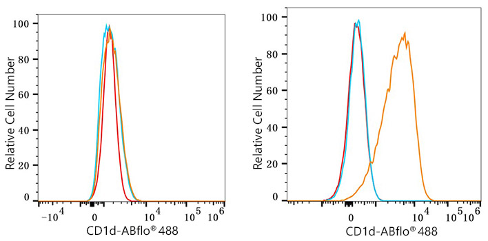 ABflo® 488 Rabbit anti-Human CD1d mAb