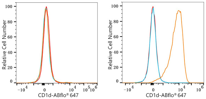 ABflo® 647 Rabbit anti-Human CD1d mAb