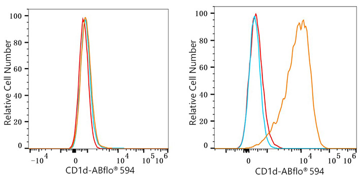 ABflo® 594 Rabbit anti-Human CD1d mAb