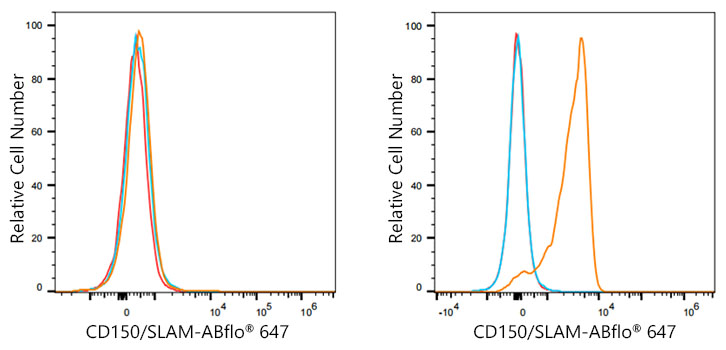 ABflo® 647 Rabbit anti-Mouse CD150/SLAM mAb