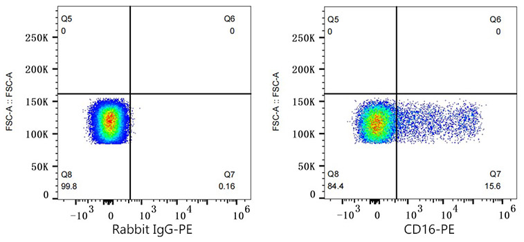 PE Rabbit anti-Human CD16 mAb