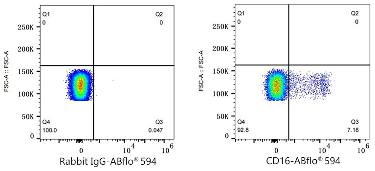 ABflo® 594 Rabbit anti-Human CD16 mAb