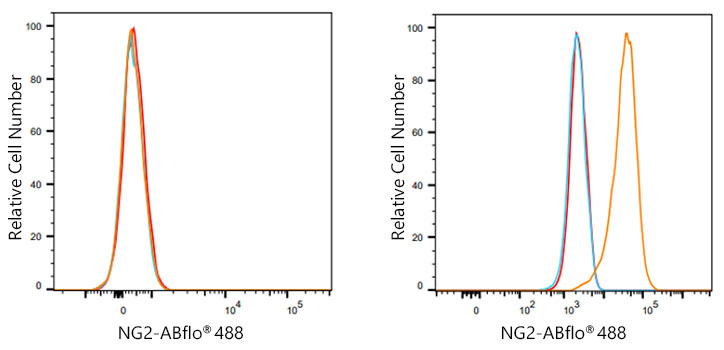 ABflo® 488 Rabbit anti-Human NG2 mAb