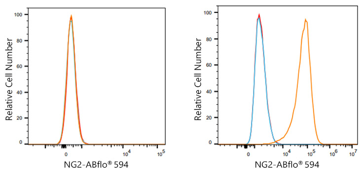 ABflo® 594 Rabbit anti-Human NG2 mAb