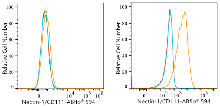 ABflo® 594 Rabbit anti-Human Nectin-1/CD111 mAb