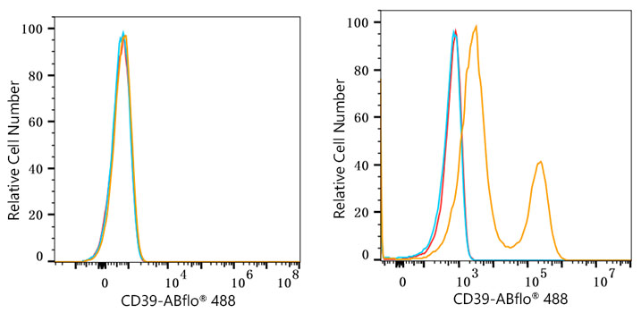 ABflo® 488 Rabbit anti-Human CD39/ENTPD1 mAb