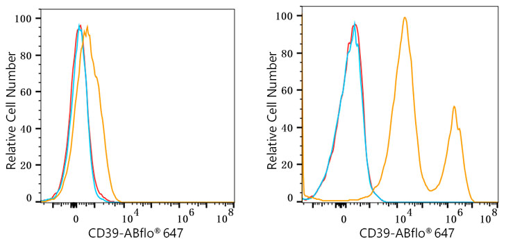 ABflo® 647 Rabbit anti-Human CD39/ENTPD1 mAb