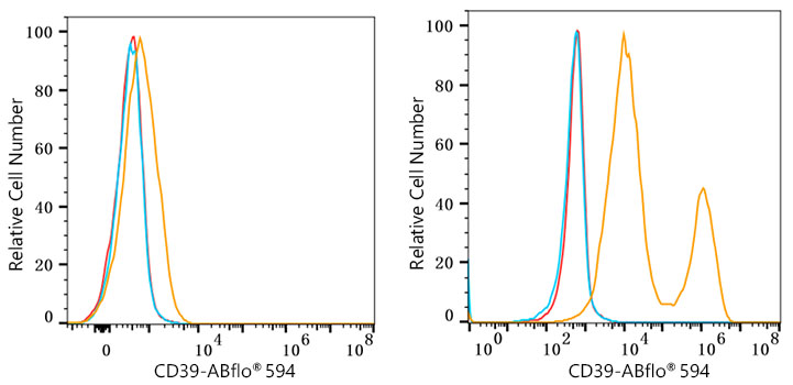 ABflo® 594 Rabbit anti-Human CD39/ENTPD1 mAb