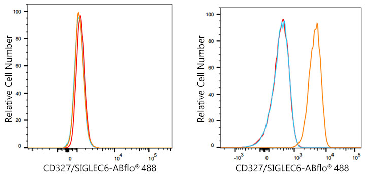 ABflo® 488 Rabbit anti-Human CD327/SIGLEC6 mAb