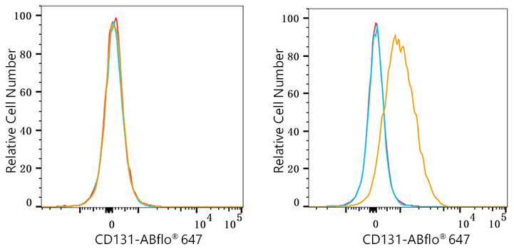 ABflo® 647 Rabbit anti-Human CD131 mAb