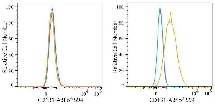 ABflo® 594 Rabbit anti-Human CD131 mAb