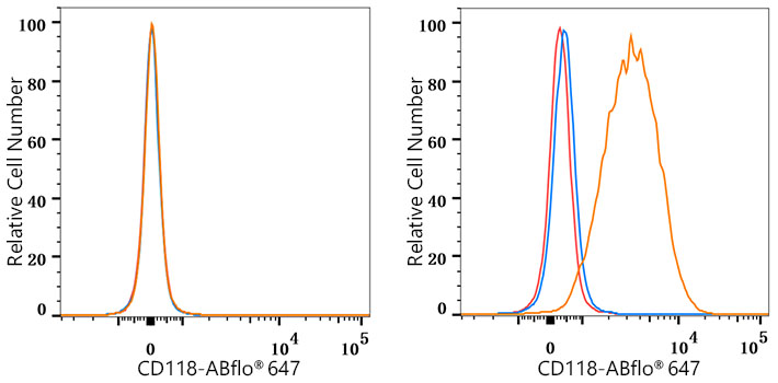 ABflo® 647 Rabbit anti-Human LIFR/CD118 mAb