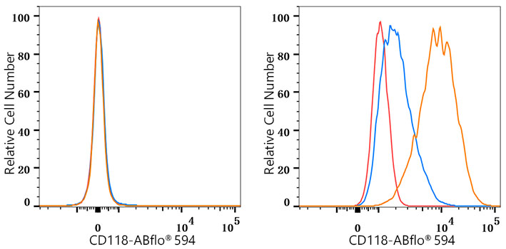 ABflo® 594 Rabbit anti-Human LIFR/CD118 mAb