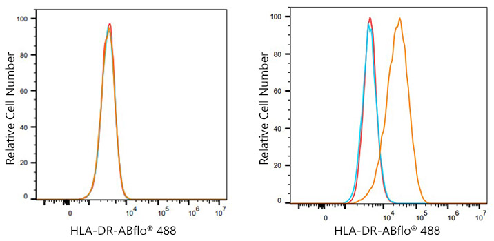 ABflo® 488 Rabbit anti-Human HLA-DR mAb