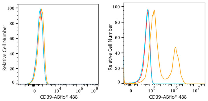 CD39/ENTPD1 Rabbit mAb