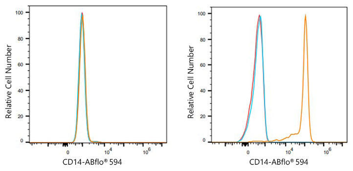 CD14 Rabbit mAb