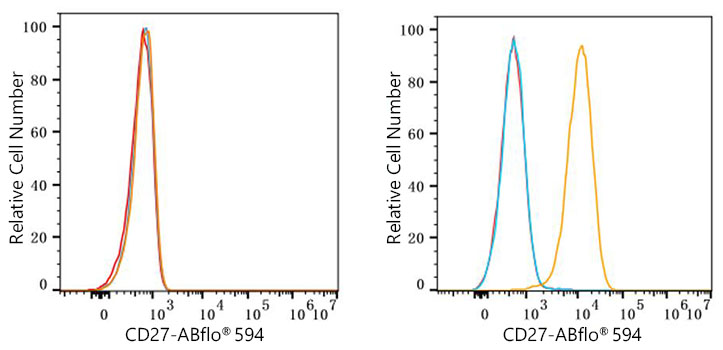 ABflo® 594 Rabbit anti-Human CD27 mAb