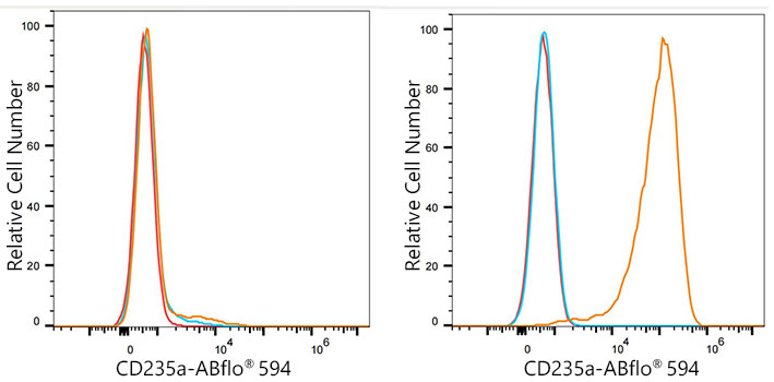 ABflo® 594 Rabbit anti-Human CD235a/Glycophorin A mAb