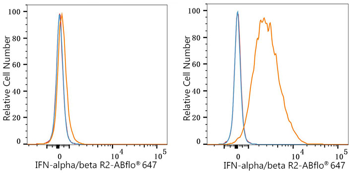 ABflo® 647 Rabbit anti-Human IFN-alpha/beta R2 mAb