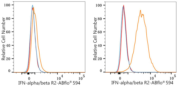 ABflo® 594 Rabbit anti-Human IFN-alpha/beta R2 mAb