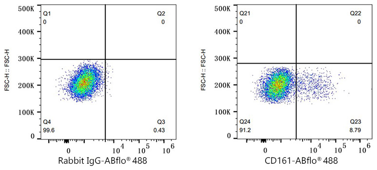 ABflo® 488 Rabbit anti-Human CD161 mAb