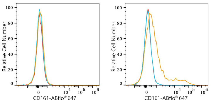 ABflo® 647 Rabbit anti-Human CD161 mAb