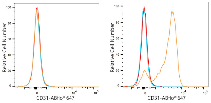 ABflo® 647 Rabbit anti-Rat CD31 mAb