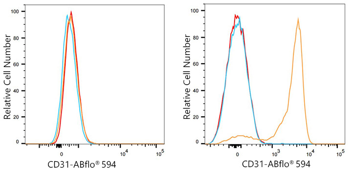 ABflo® 594 Rabbit anti-Rat CD31 mAb