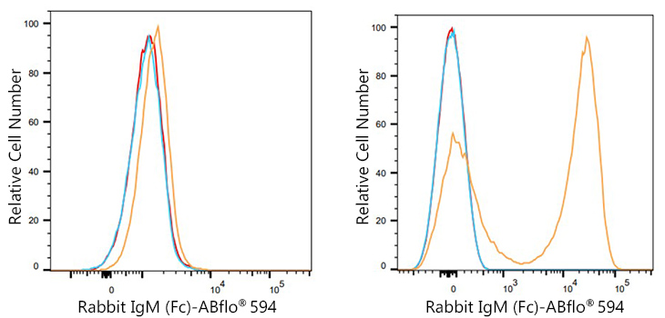 ABflo® 594 Mouse Anti-Rabbit IgM (Fc) mAb