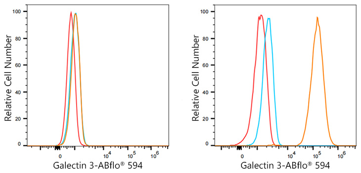 ABflo® 594 Rabbit anti-Human Galectin 3 mAb