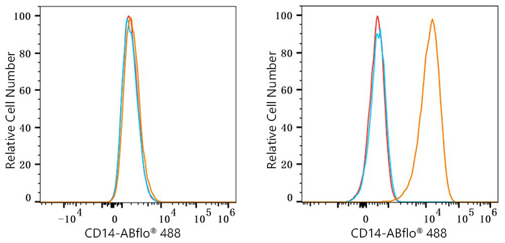 ABflo® 488 Rabbit anti-Mouse CD14 mAb