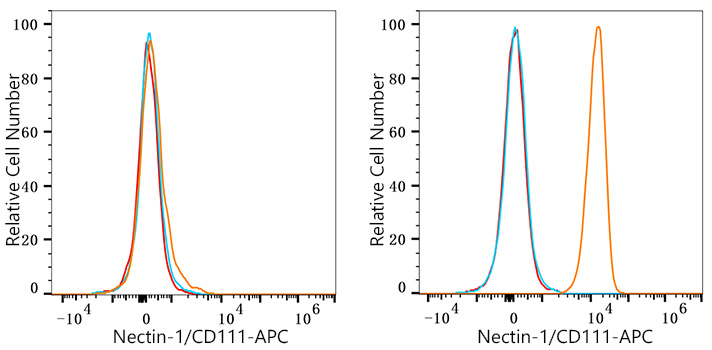 APC Rabbit anti-Human Nectin-1/CD111 mAb