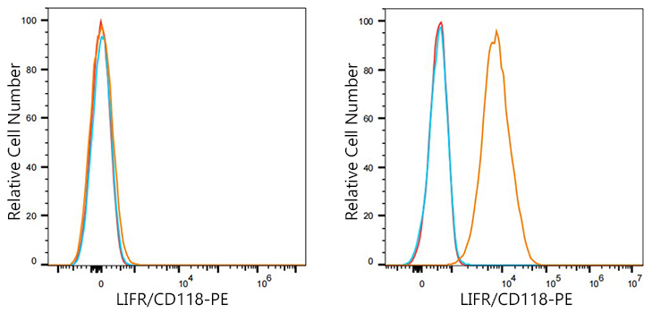 PE Rabbit anti-Human LIFR/CD118 mAb