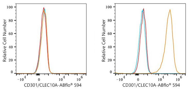 ABflo® 594 Rabbit anti-Human CD301/CLEC10A mAb