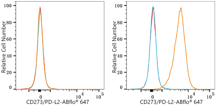 ABflo® 647 Rabbit anti-Human CD273/PD-L2 mAb