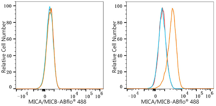 ABflo® 488 Rabbit anti-Human MICA/MICB mAb