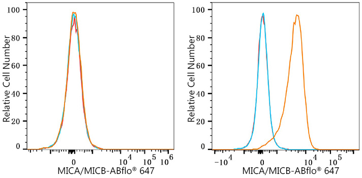 ABflo® 647 Rabbit anti-Human MICA/MICB mAb