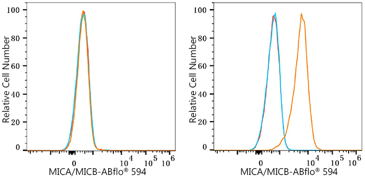 ABflo® 594 Rabbit anti-Human MICA/MICB mAb